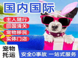 哈密伊州空运地址国际宠物托运 【国